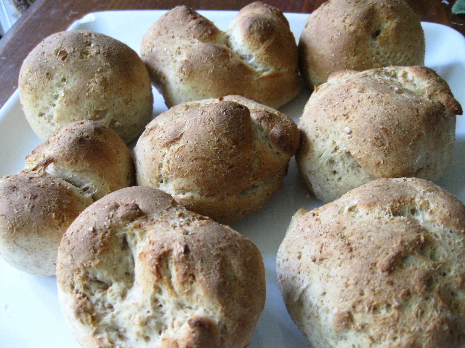 whole wheat dinner rolls