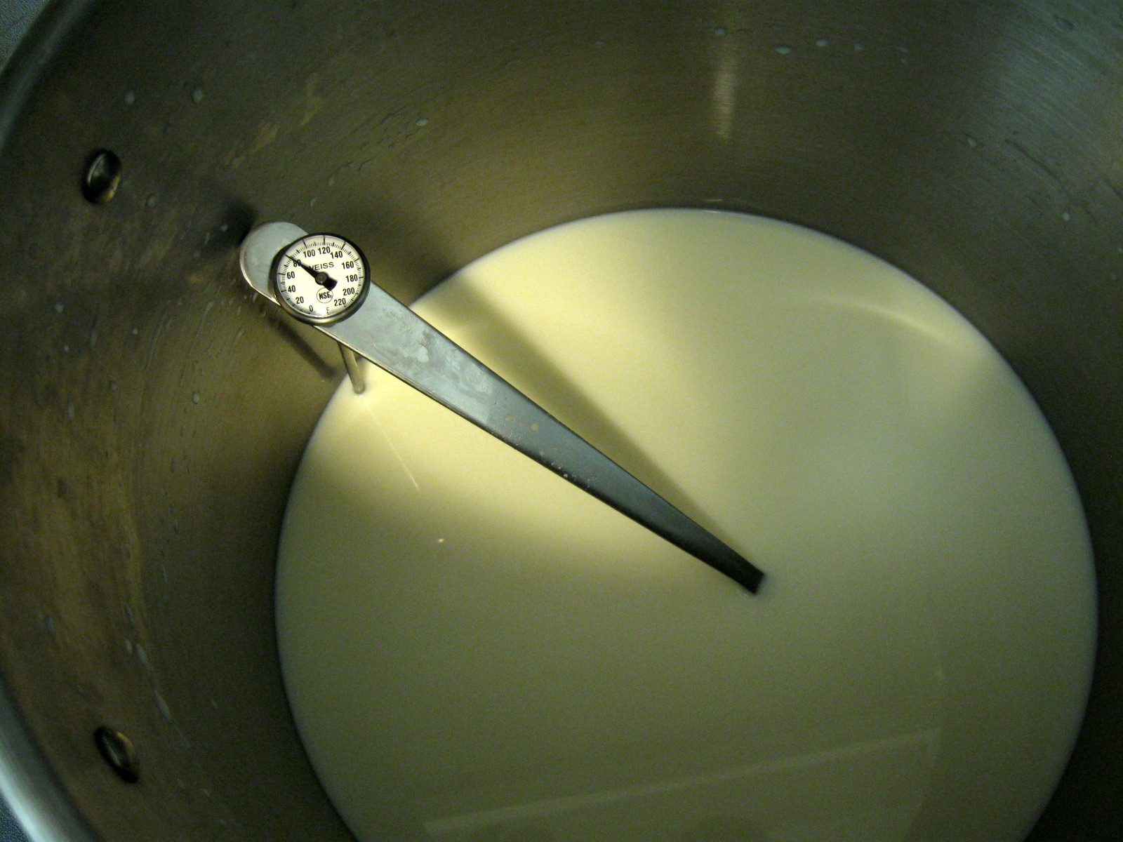 Yogurt Thermometer